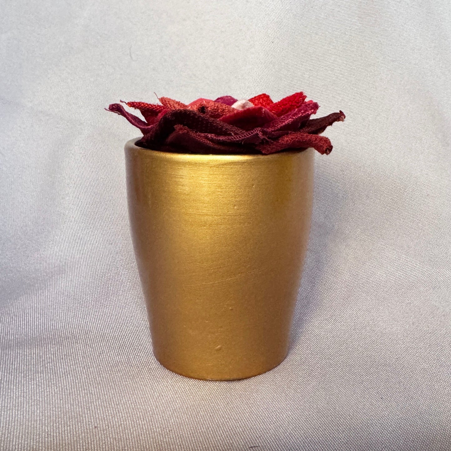 Red Plant - Gold Pot