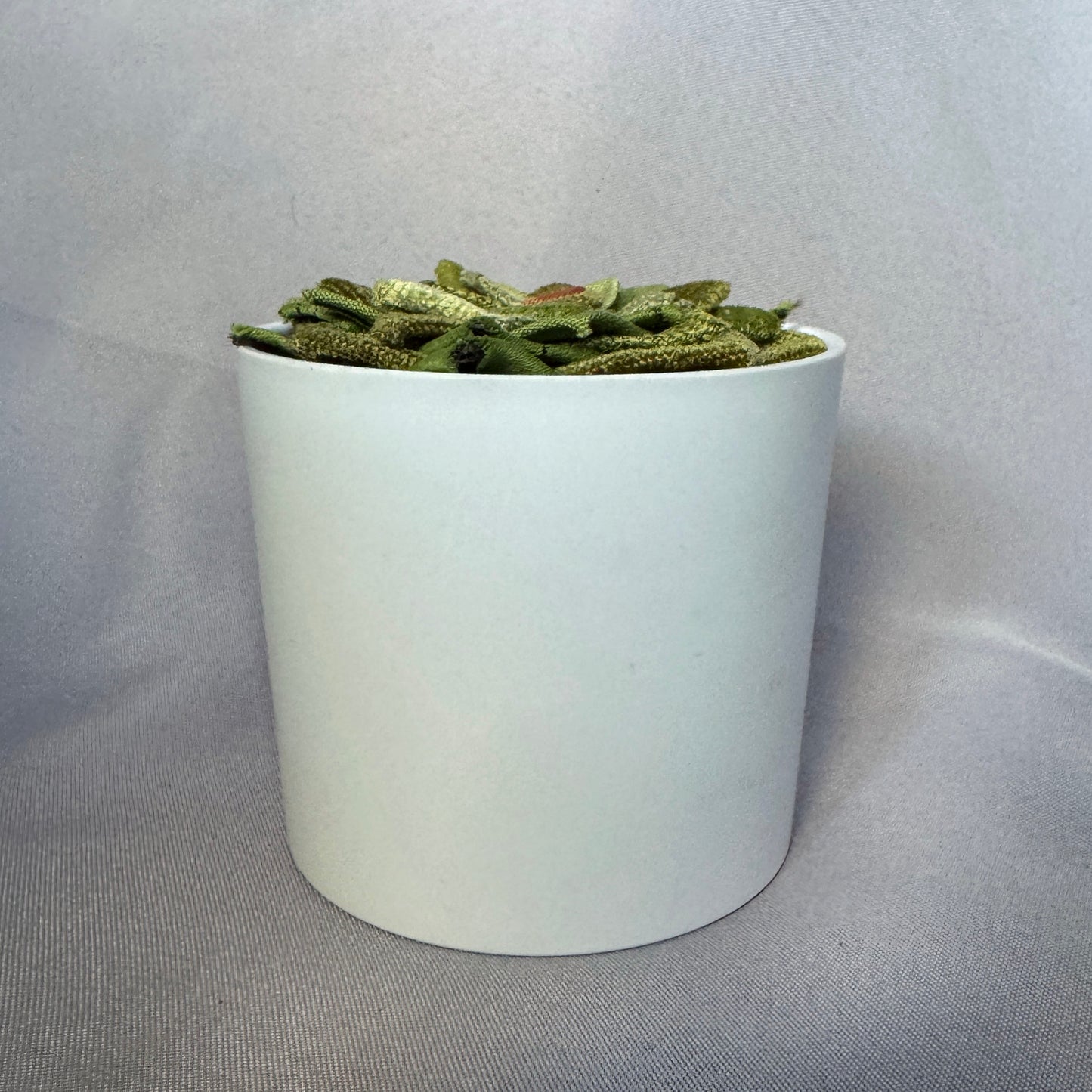 Green Plant - Large White Pot