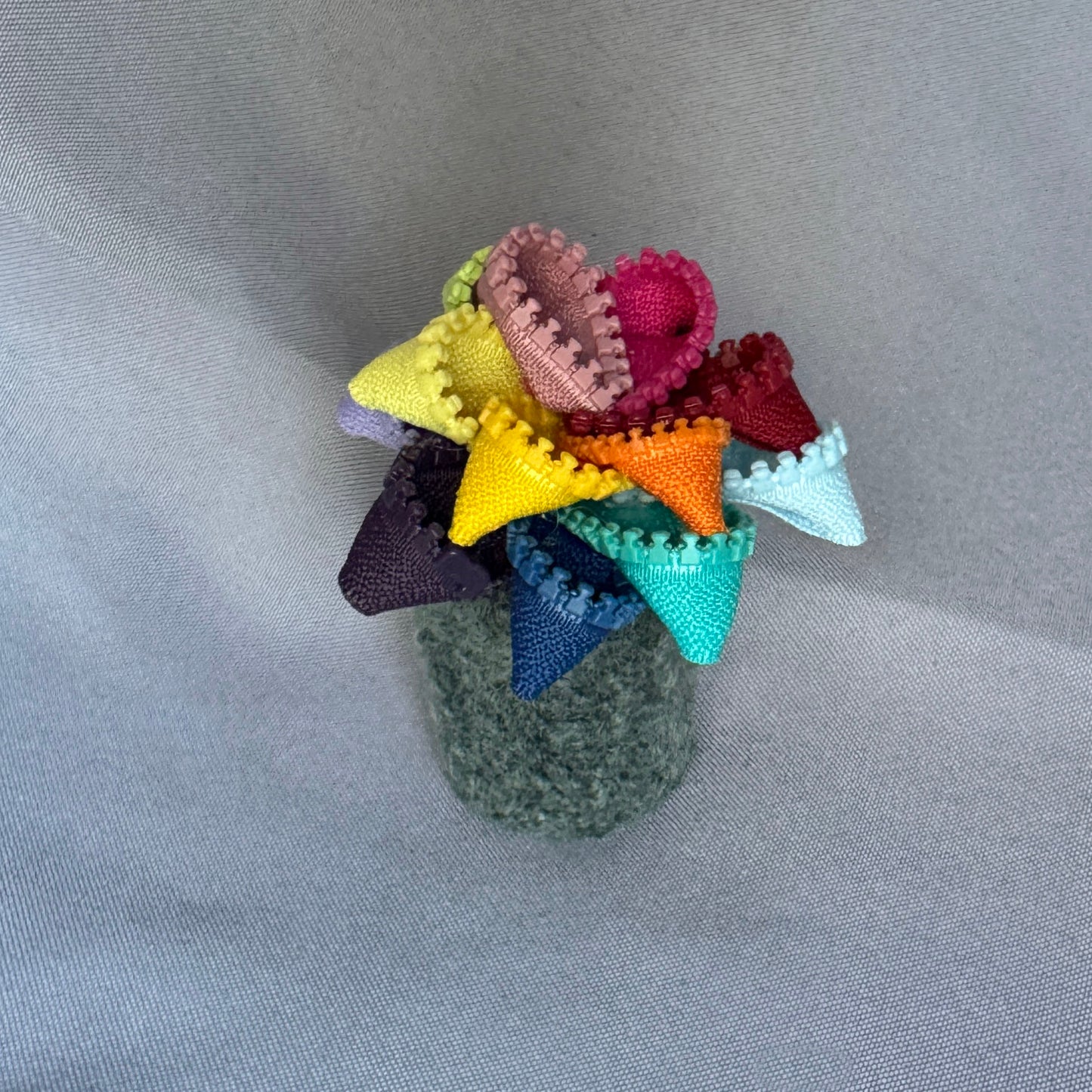 Rainbow Plant - Small Terracotta Pot