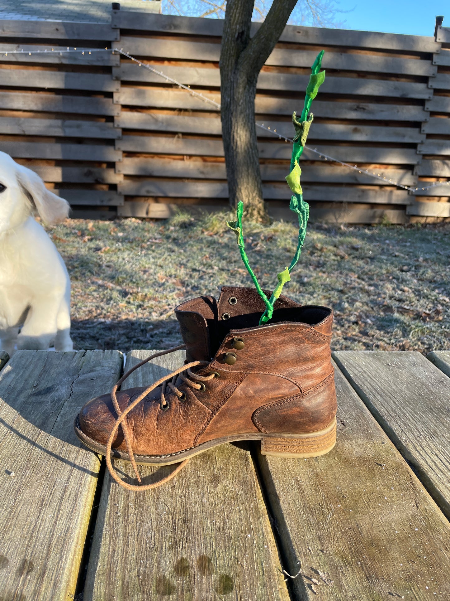 Sproot in a Boot