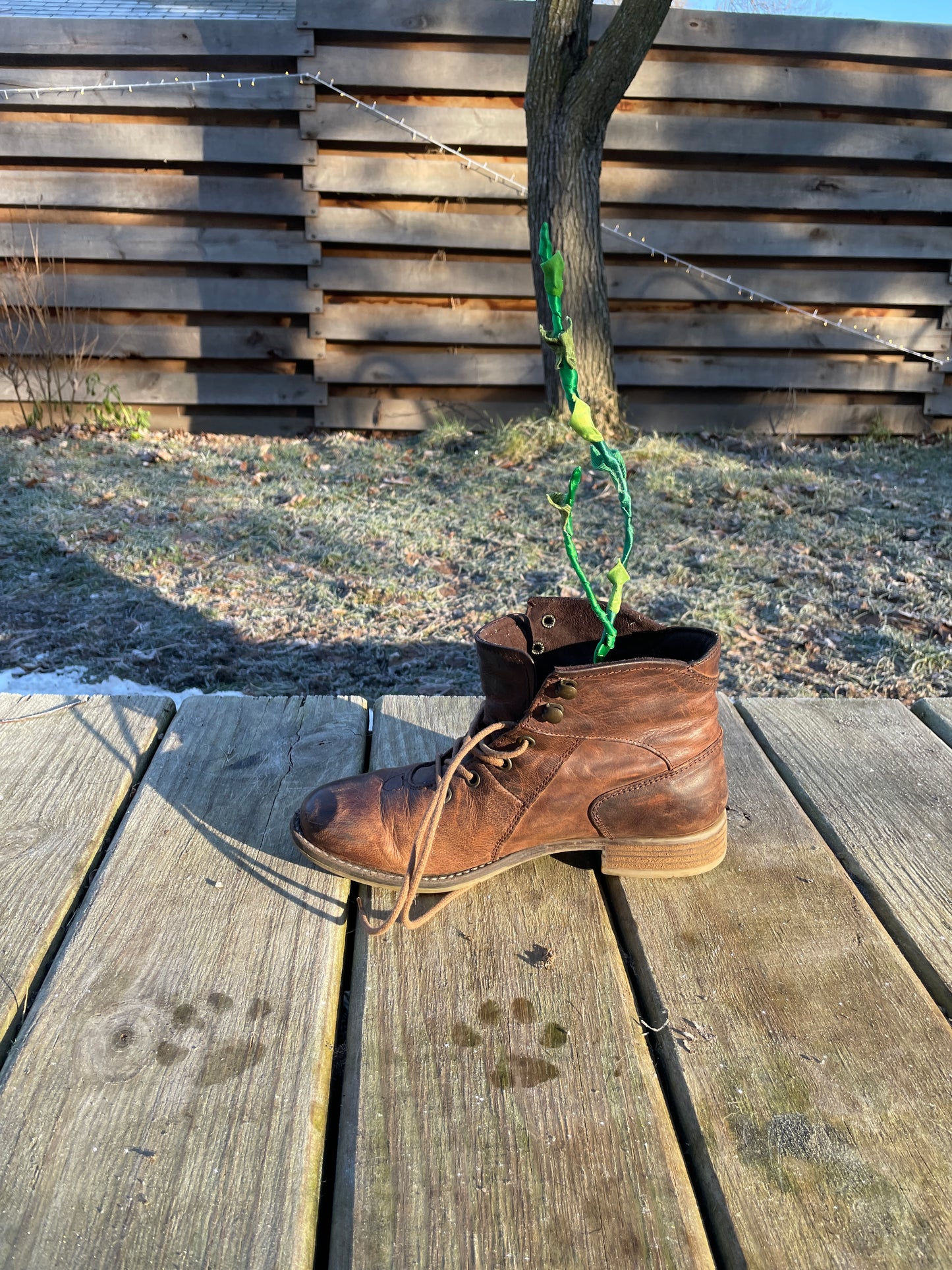 Sproot in a Boot