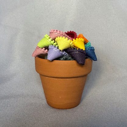 Rainbow Plant - Small Terracotta Pot