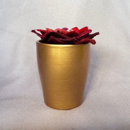 Red Plant - Gold Pot