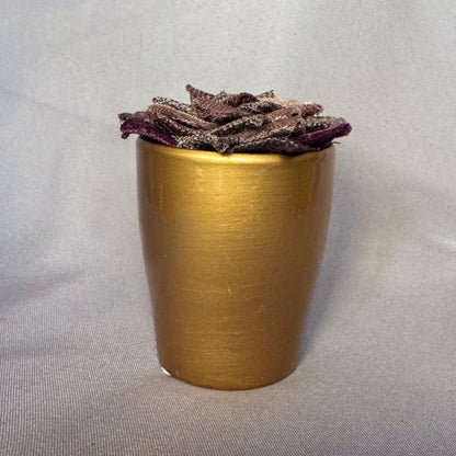 Purple Plant - Gold Pot