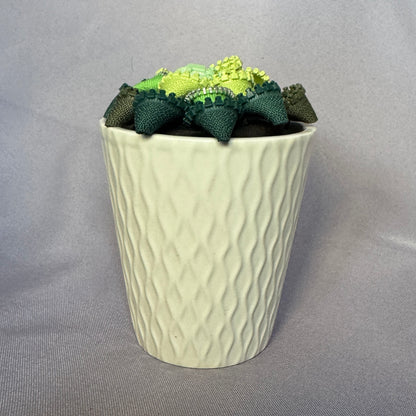 Green Zipper Plant - White Pot