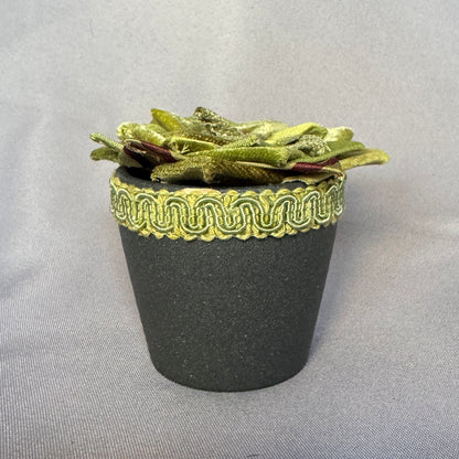 Green Plant - Grey Pot