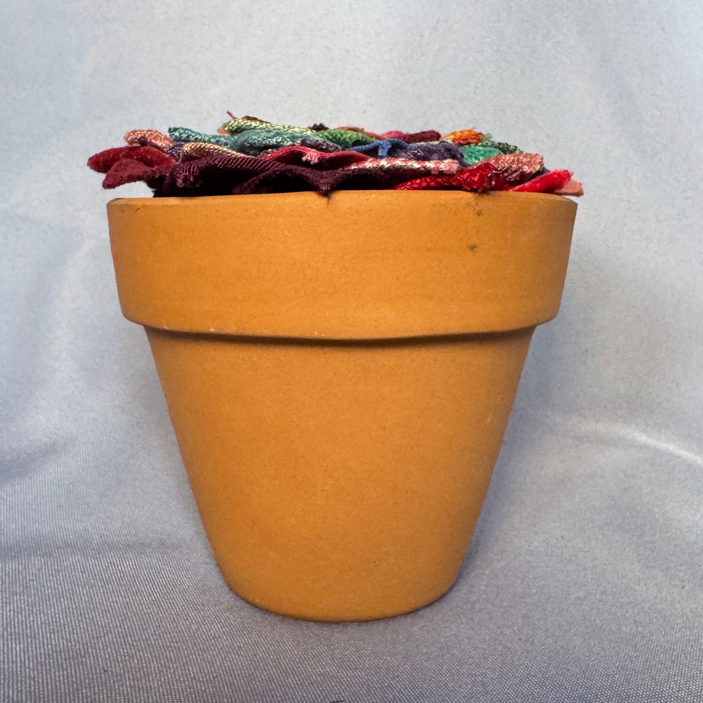 Rainbow Plant - Large Terracotta Pot