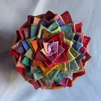 Rainbow Plant - Large Terracotta Pot