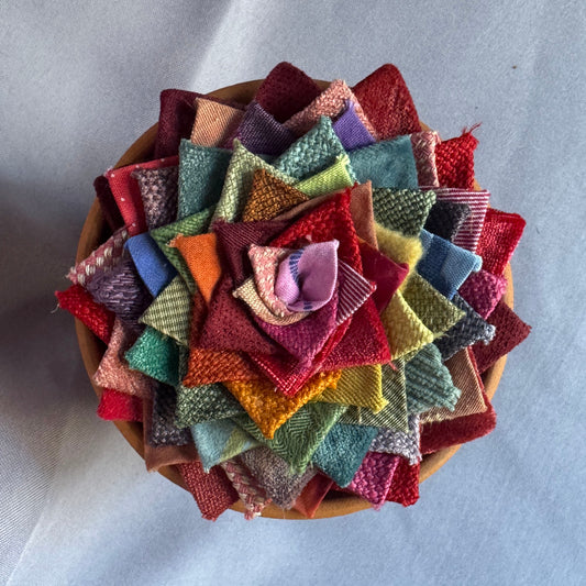 Rainbow Plant - Large Terracotta Pot