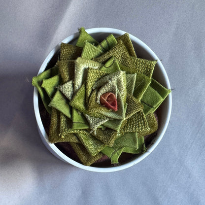 Green Plant - Large White Pot