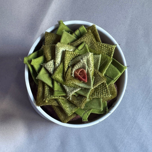 Green Plant - Large White Pot