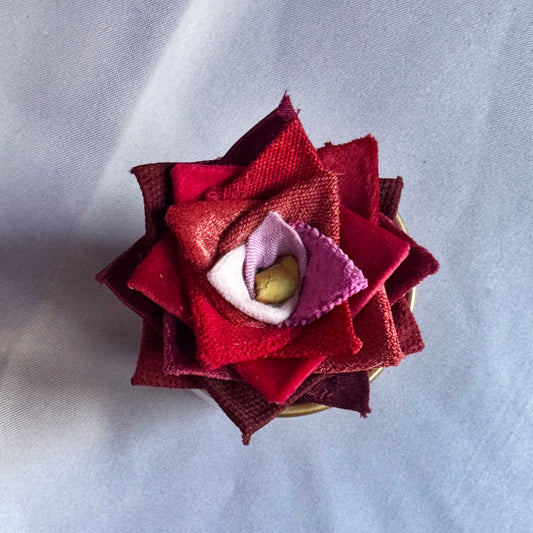 Red Plant - Gold Pot