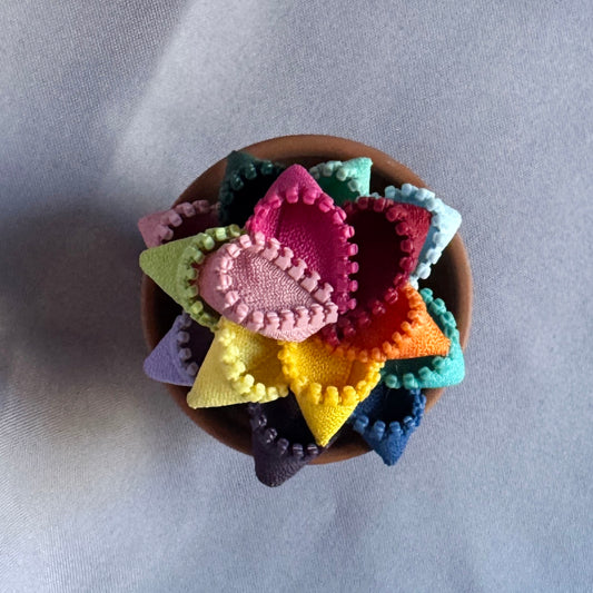 Rainbow Plant - Small Terracotta Pot