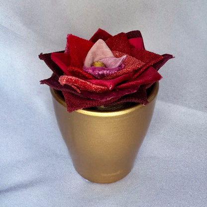 Red Plant - Gold Pot