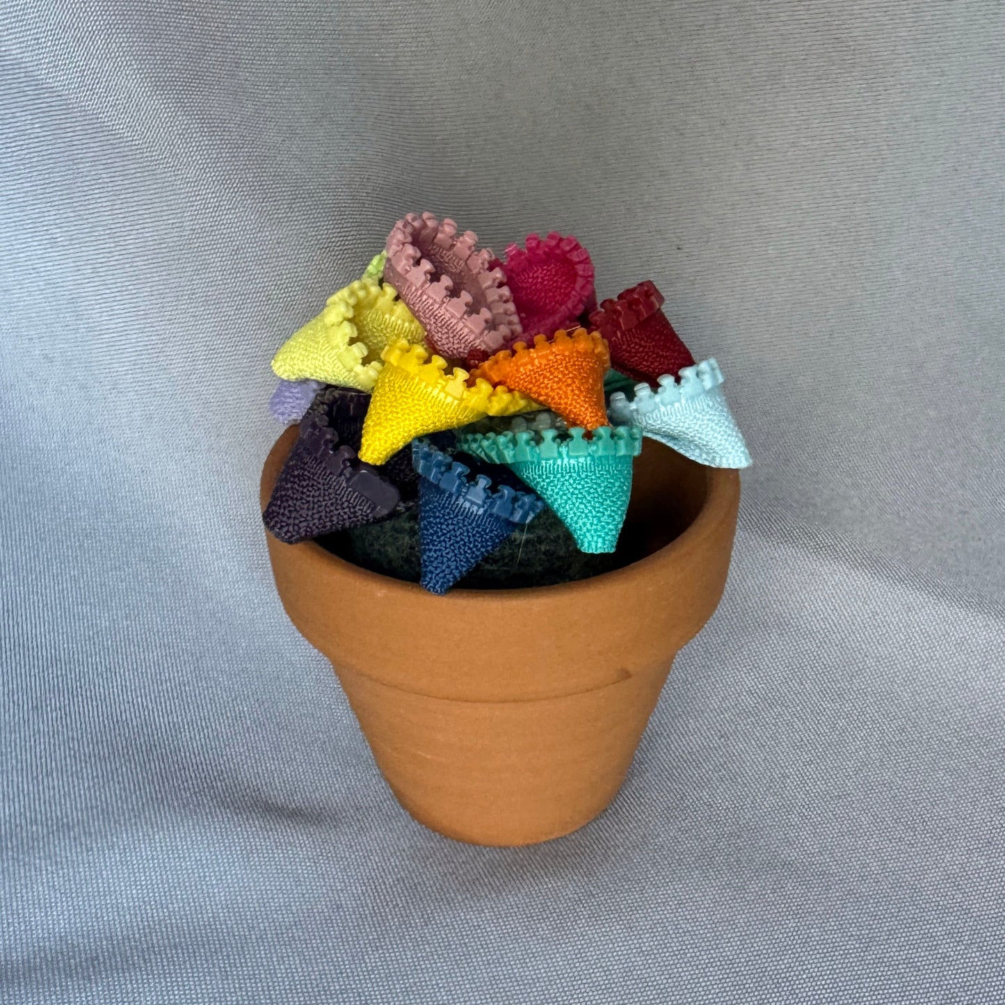 Rainbow Plant - Small Terracotta Pot