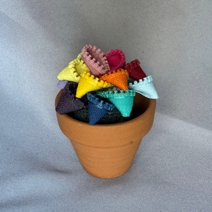 Rainbow Plant - Small Terracotta Pot