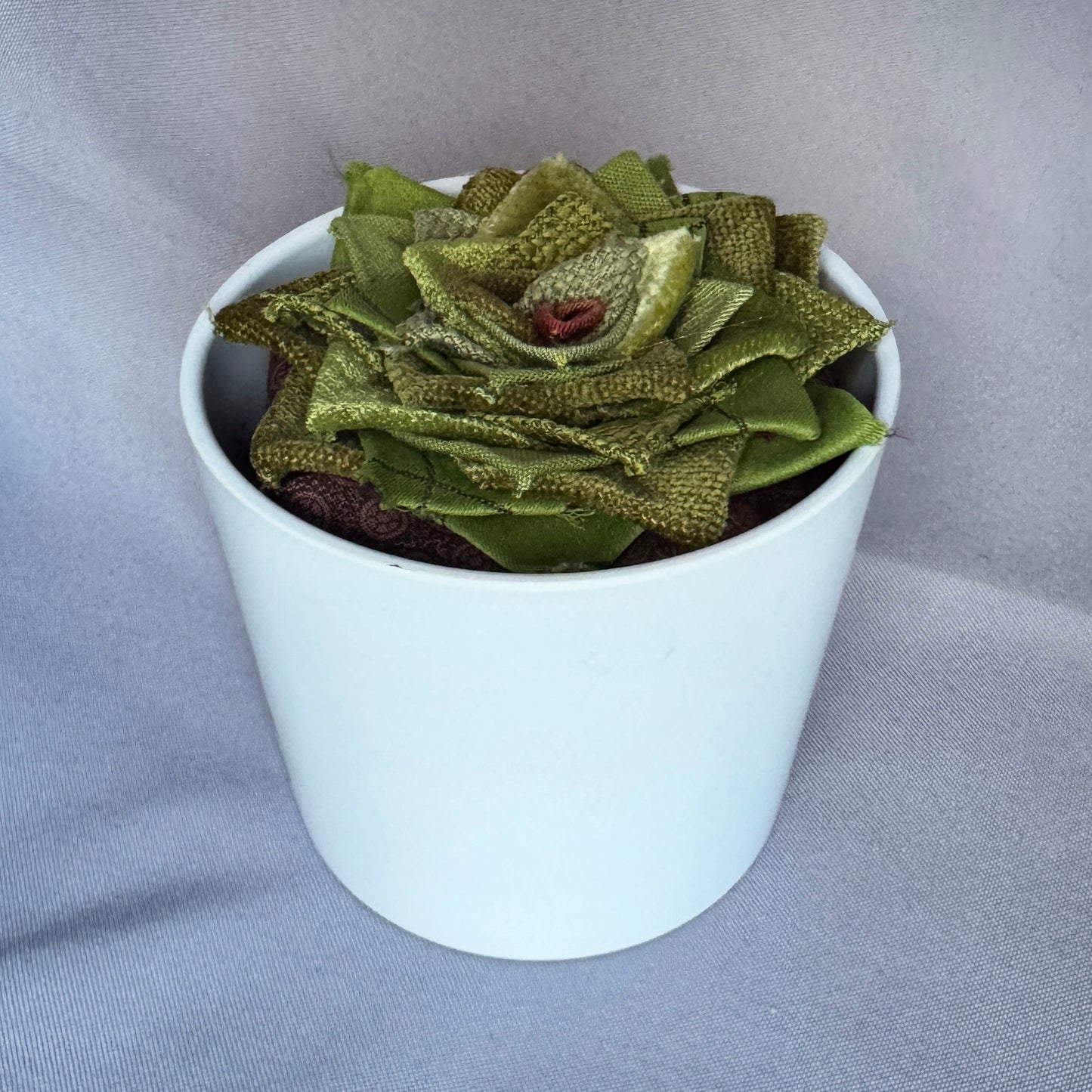 Green Plant - Large White Pot