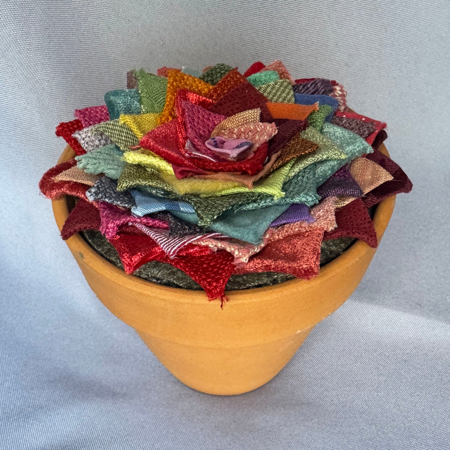 Rainbow Plant - Large Terracotta Pot