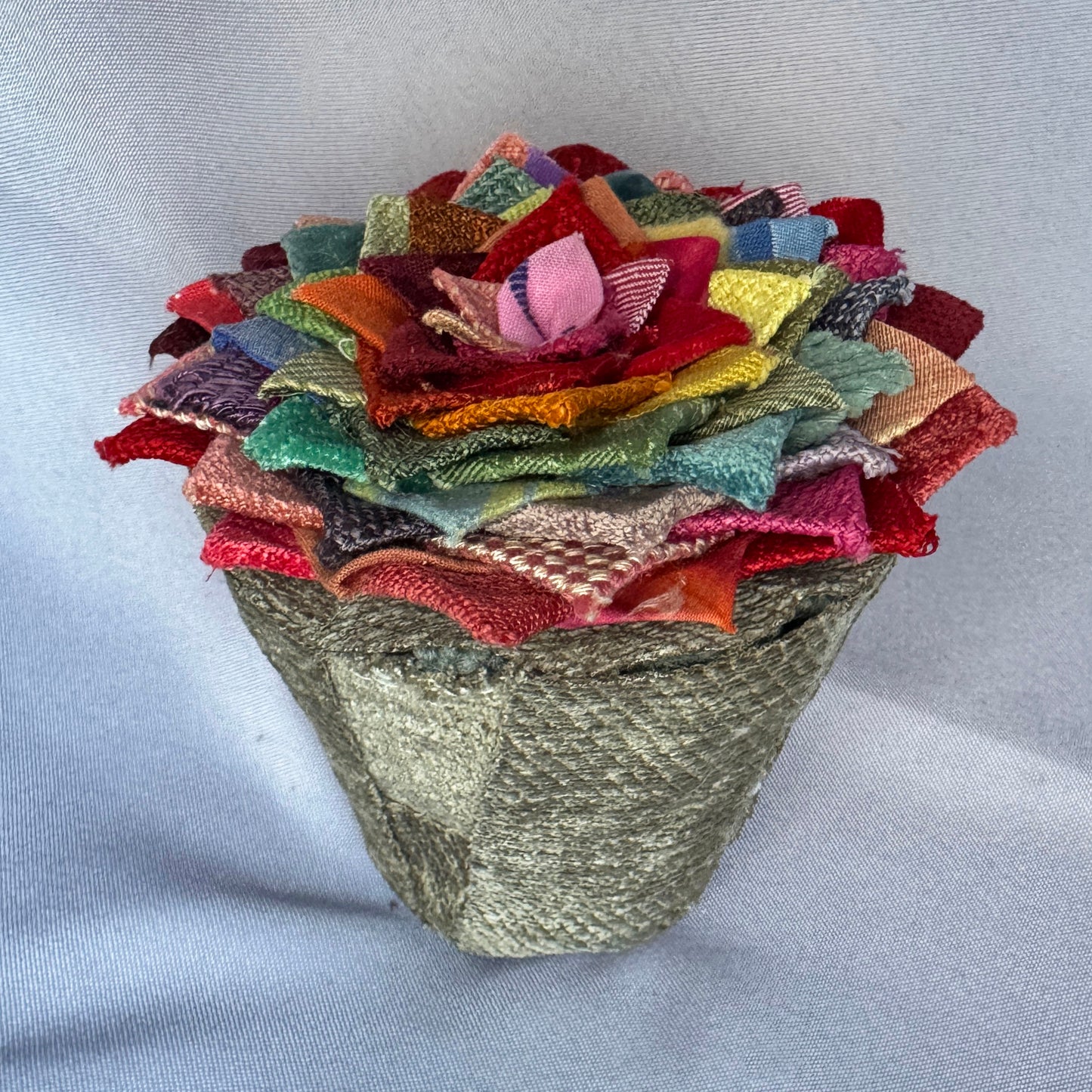 Rainbow Plant - Large Terracotta Pot