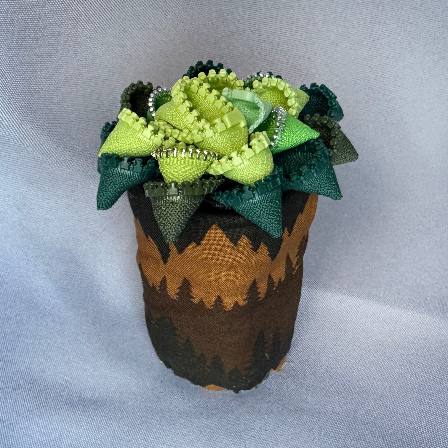 Green Zipper Plant - White Pot