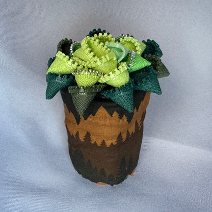 Green Zipper Plant - White Pot