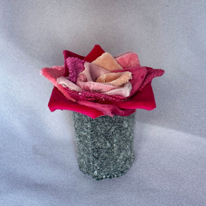 Pink Plant - Glass Jar