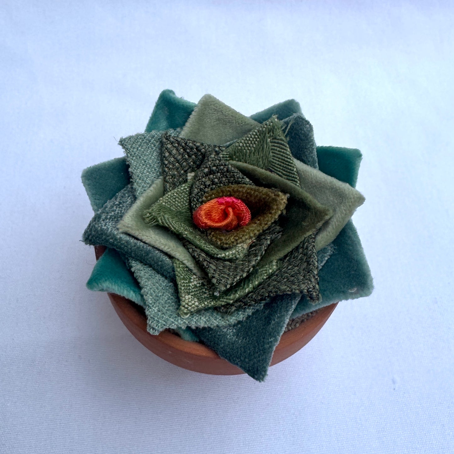 Green Plant - Terracotta Pot
