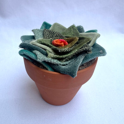 Green Plant - Terracotta Pot