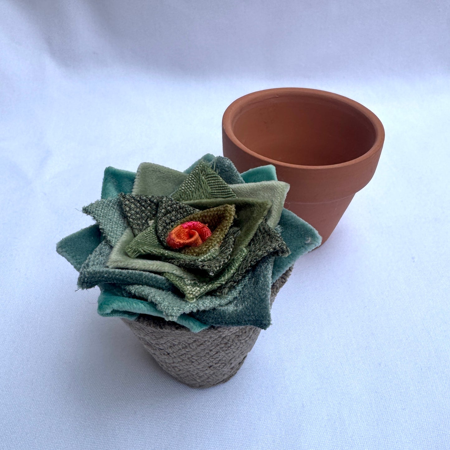 Green Plant - Terracotta Pot