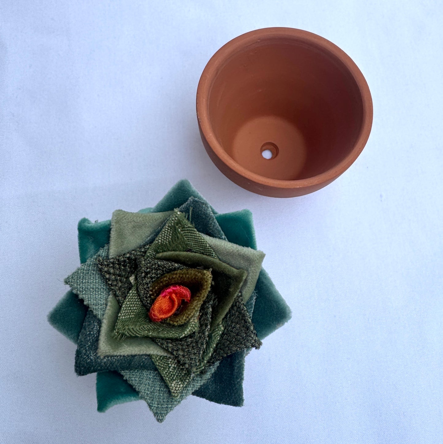 Green Plant - Terracotta Pot