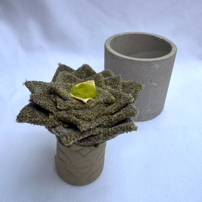 Green Plant - Grey Pot