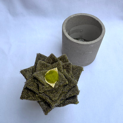 Green Plant - Grey Pot