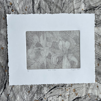 Etching Print - "Iris Window"